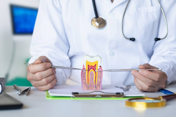 Best Emergency Dental Care for Broken or Chipped Teeth in Rochester, NH